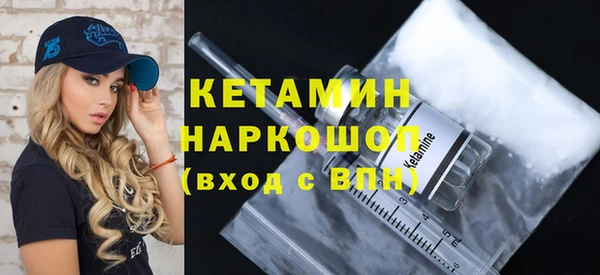 амф Гусев