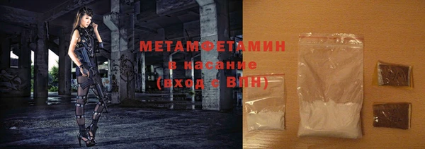 амф Гусев
