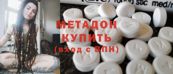 амф Гусев