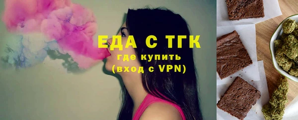 амф Гусев