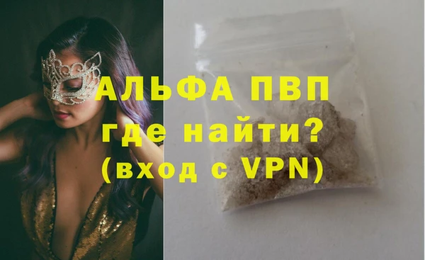 амф Гусев