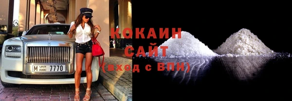 амф Гусев