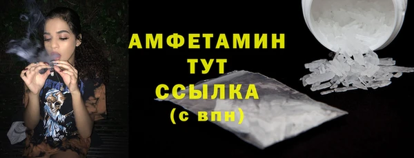 амф Гусев