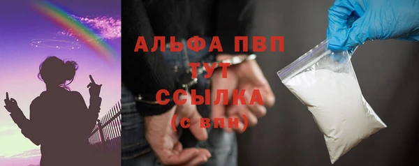 амф Гусев