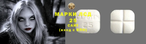 амф Гусев
