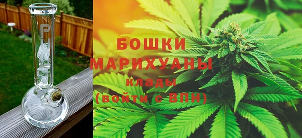 альфа пвп Гусиноозёрск