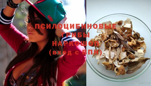 герыч Гусь-Хрустальный