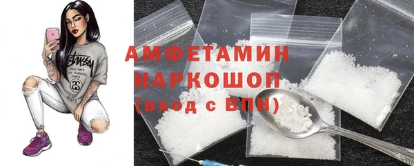 амф Гусев