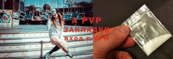 амф Гусев