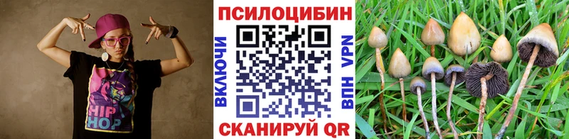 Купить закладки  Петров Вал  Галлюциногенные грибы Psilocybe 